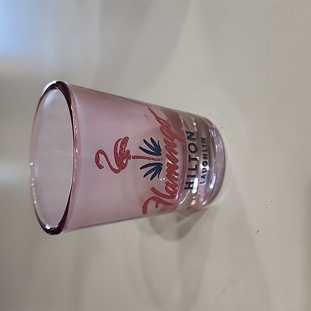 Flamingo hilton Laughlin shot glass